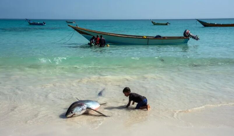 hottest ocean june 2026